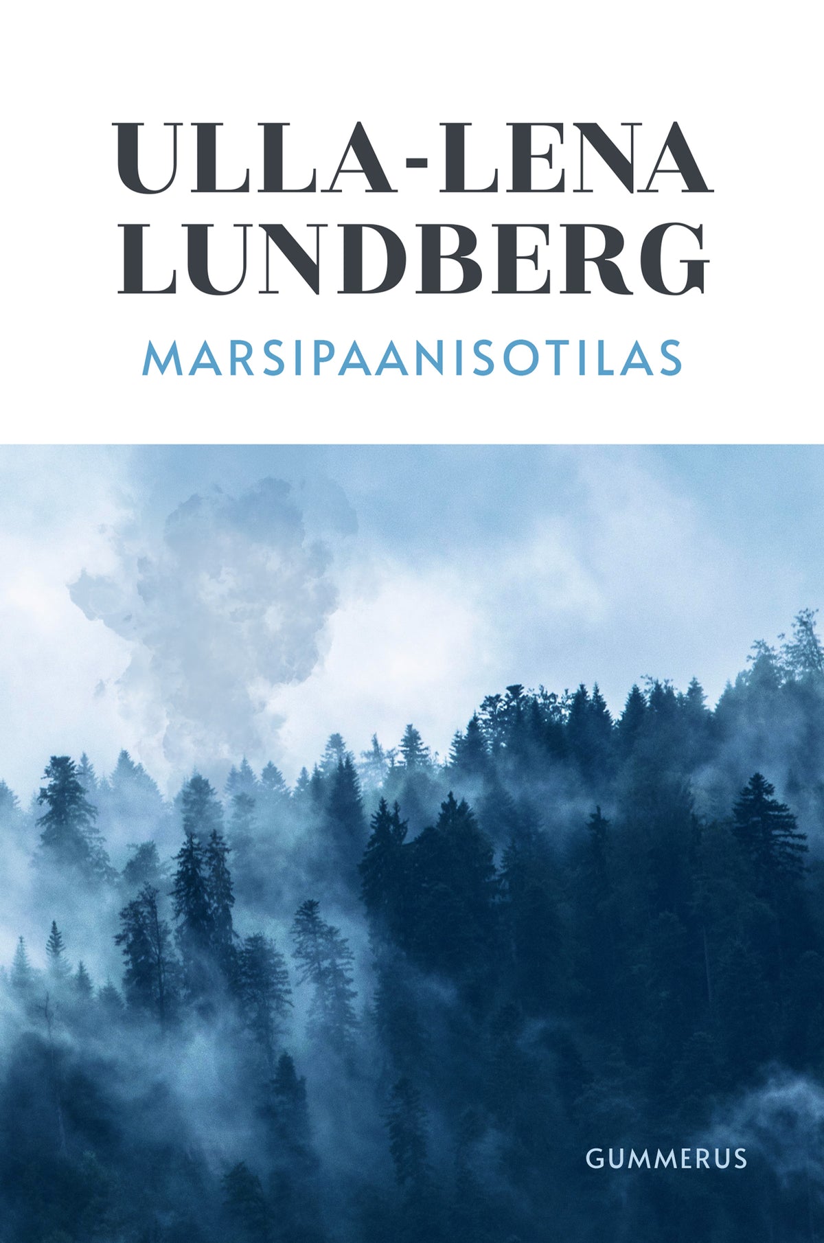 Marsipaanisotilas – E-bok