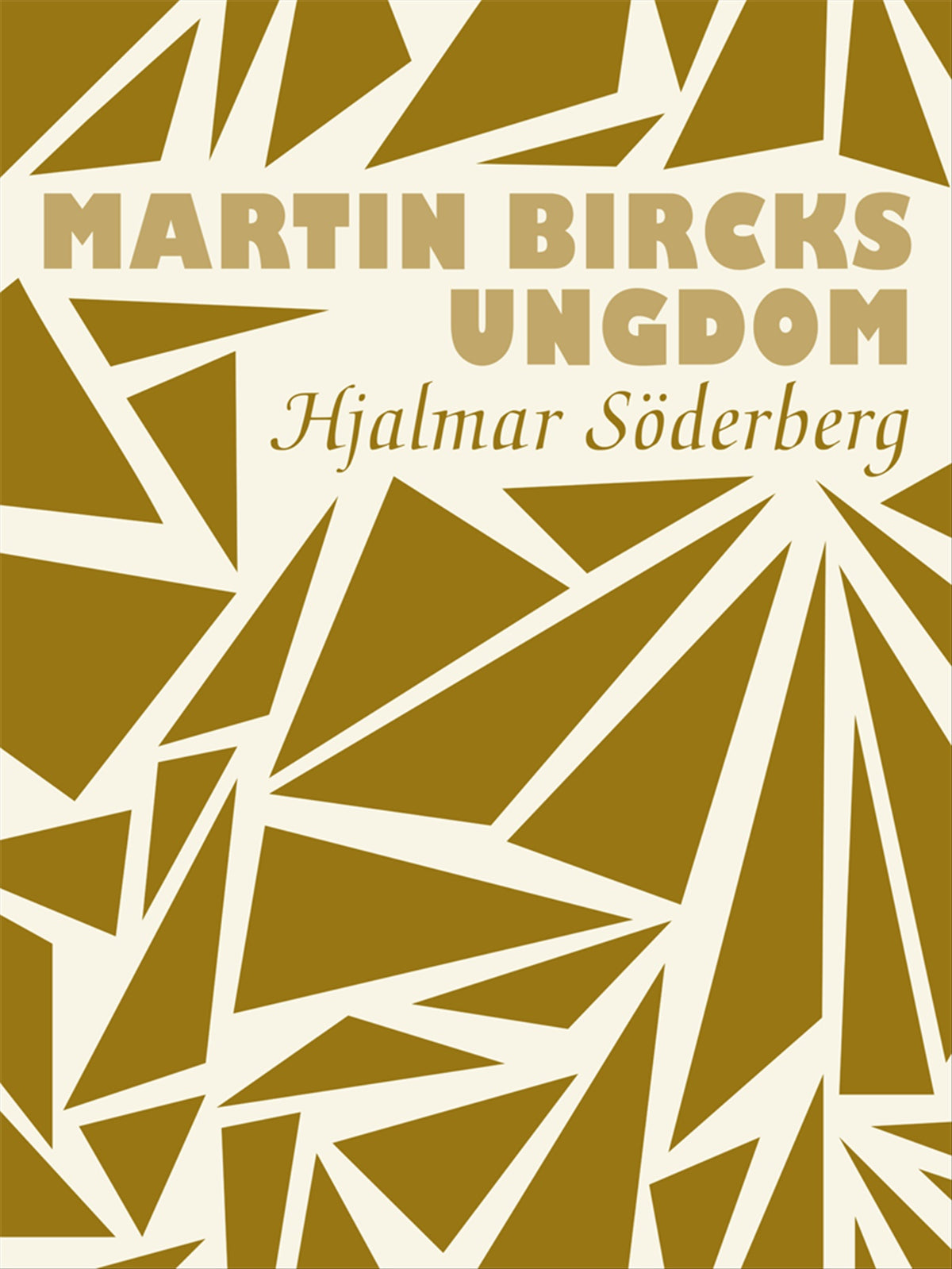 Martin Bircks ungdom – E-bok