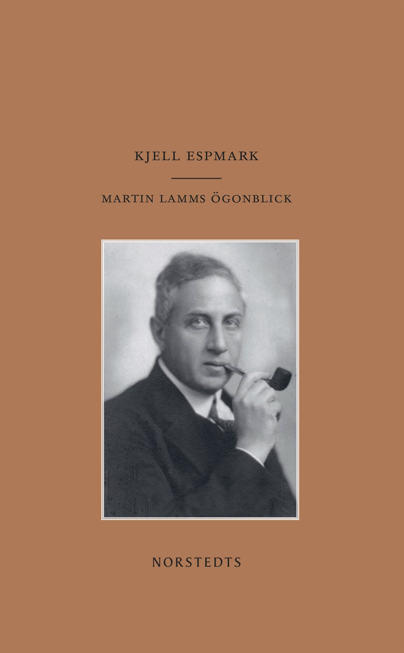 Martin Lamms ögonblick – E-bok