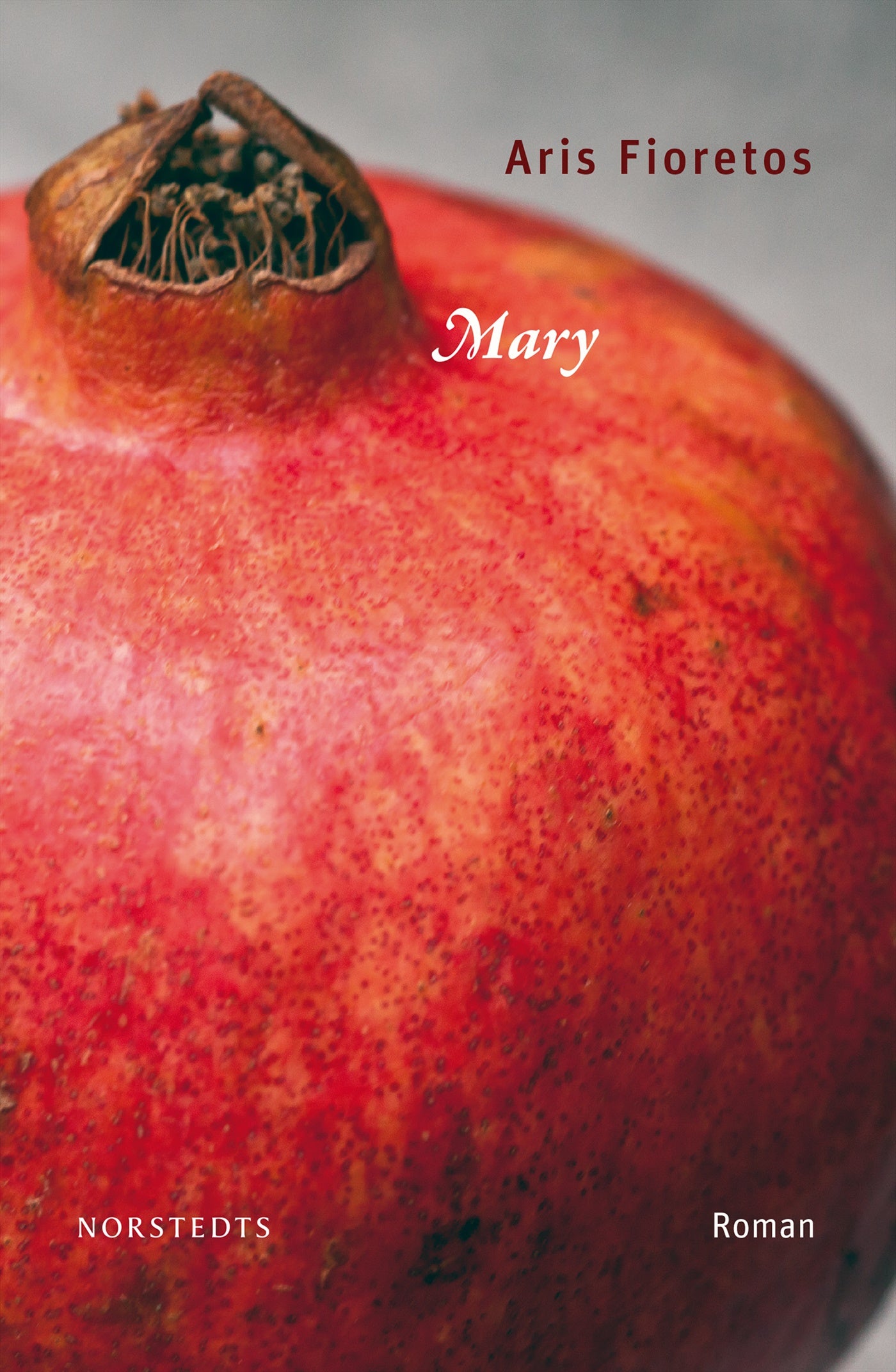 Mary – E-bok