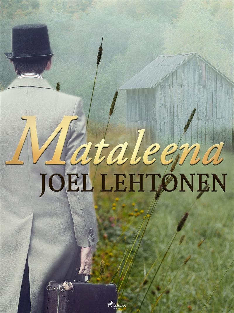 Mataleena – E-bok