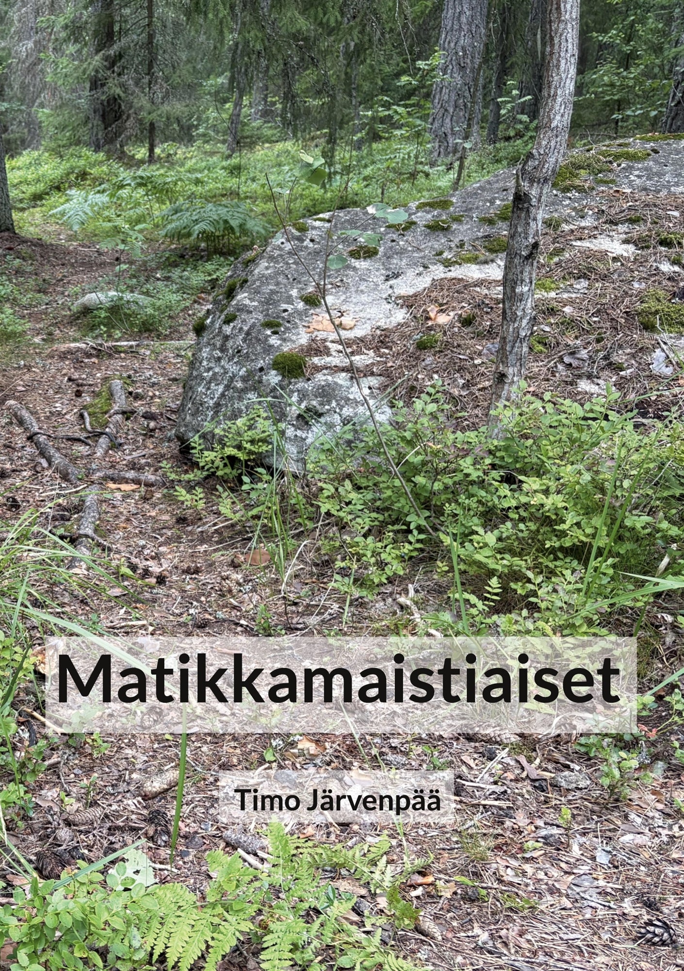 Matikkamaistiaiset – E-bok