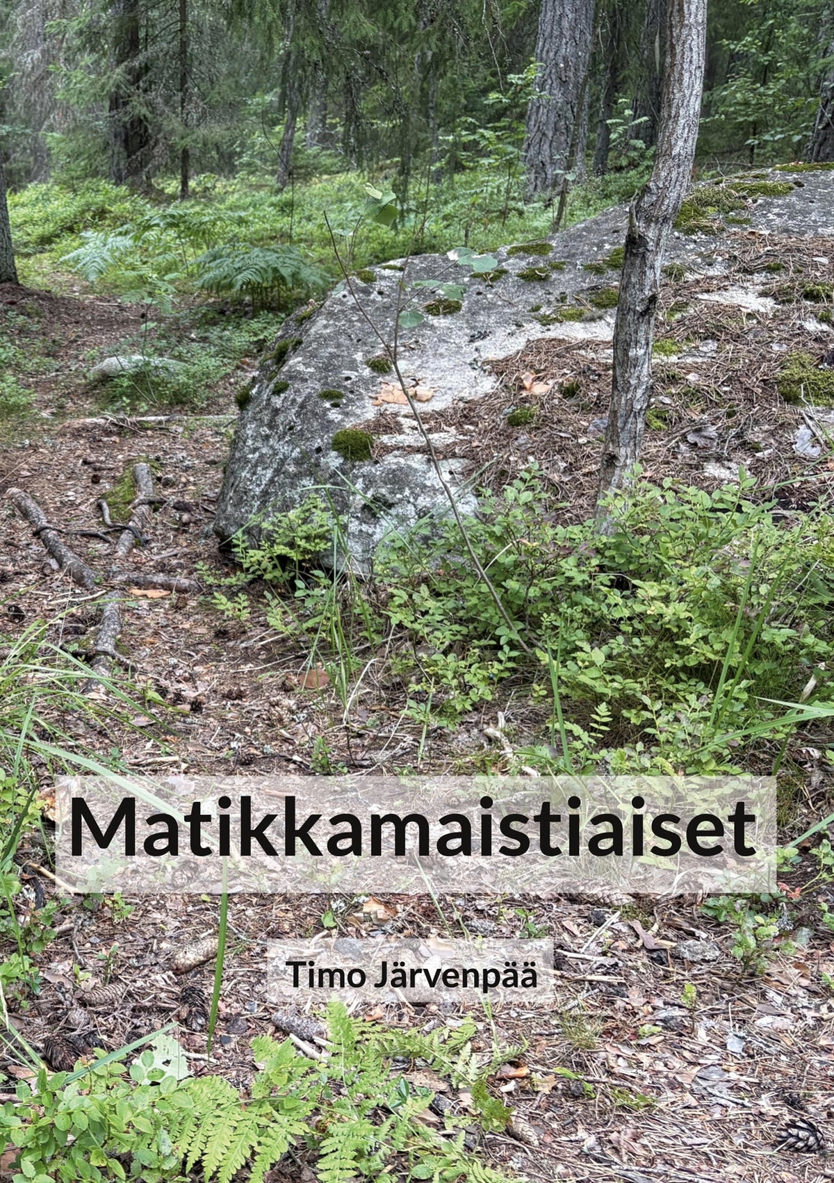 Matikkamaistiaiset – E-bok