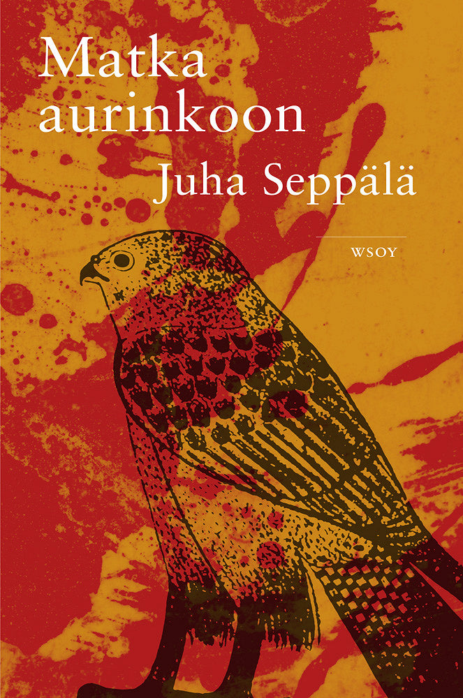 Matka aurinkoon – E-bok