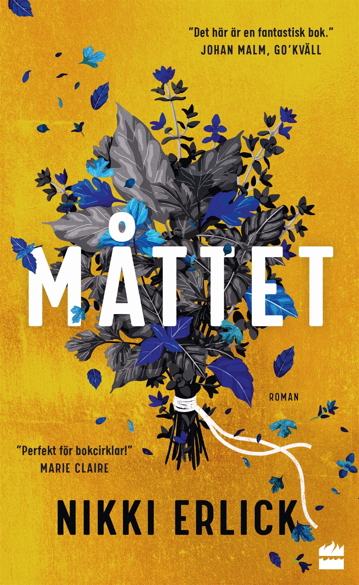 Måttet – E-bok