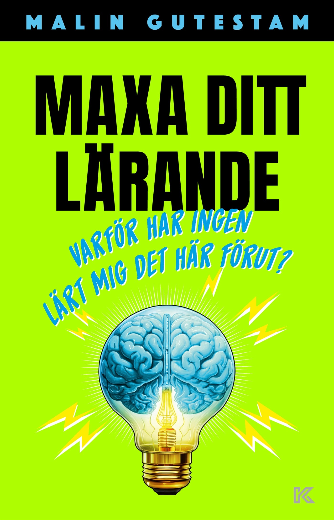 Maxa ditt lärande – Varför har ingen lärt mig det här förut? – E-bok