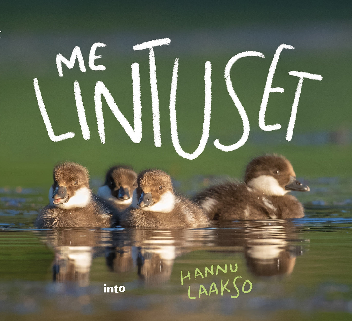 Me Lintuset – E-bok