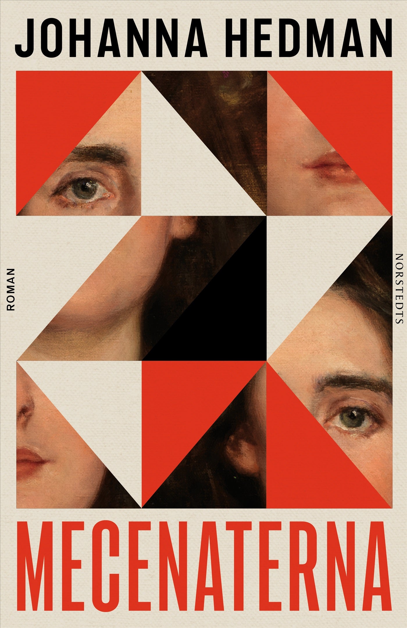 Mecenaterna – E-bok