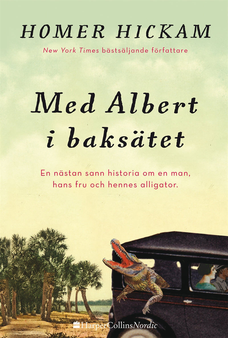 Med Albert i baksätet – E-bok