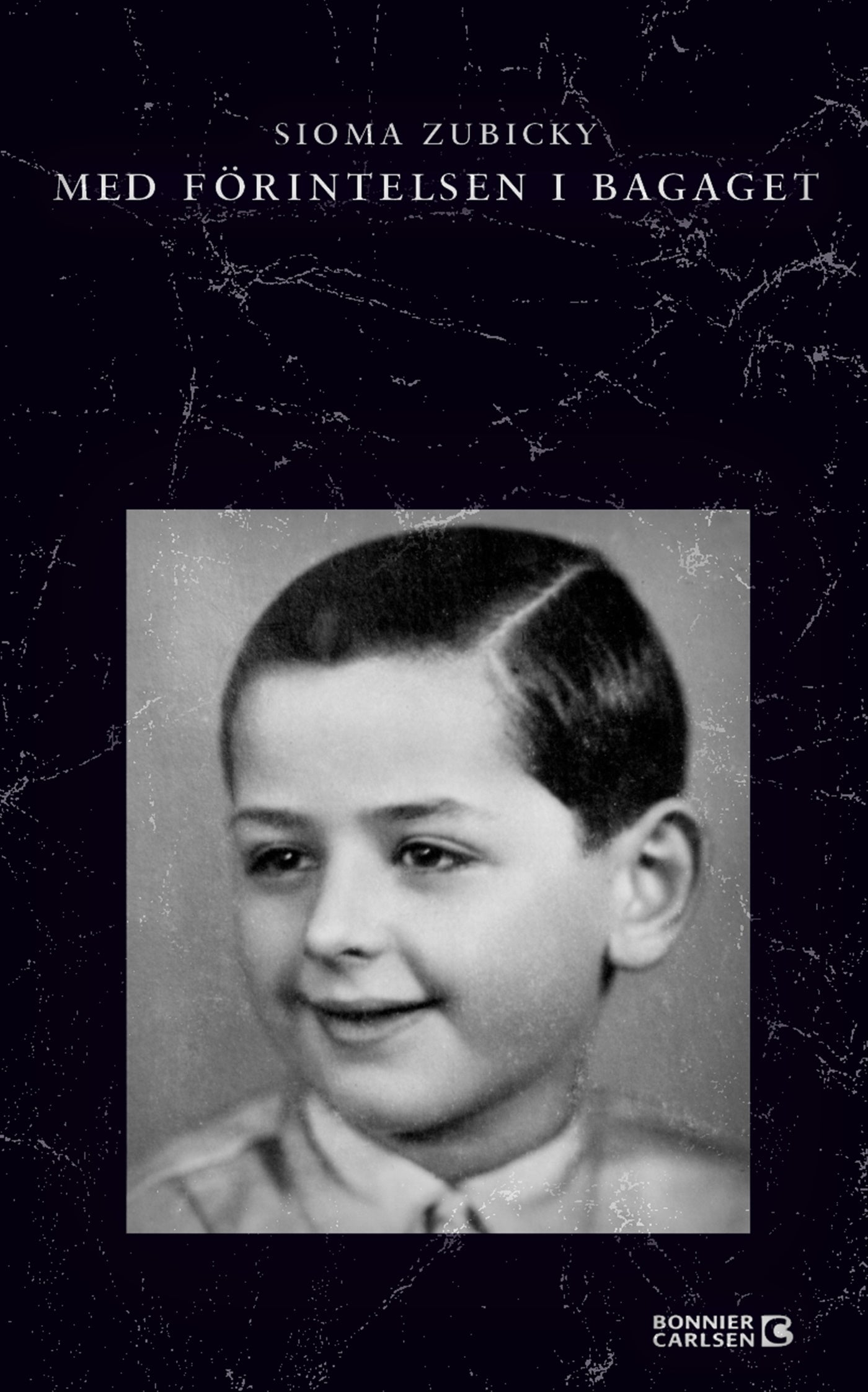 Med förintelsen i bagaget – E-bok