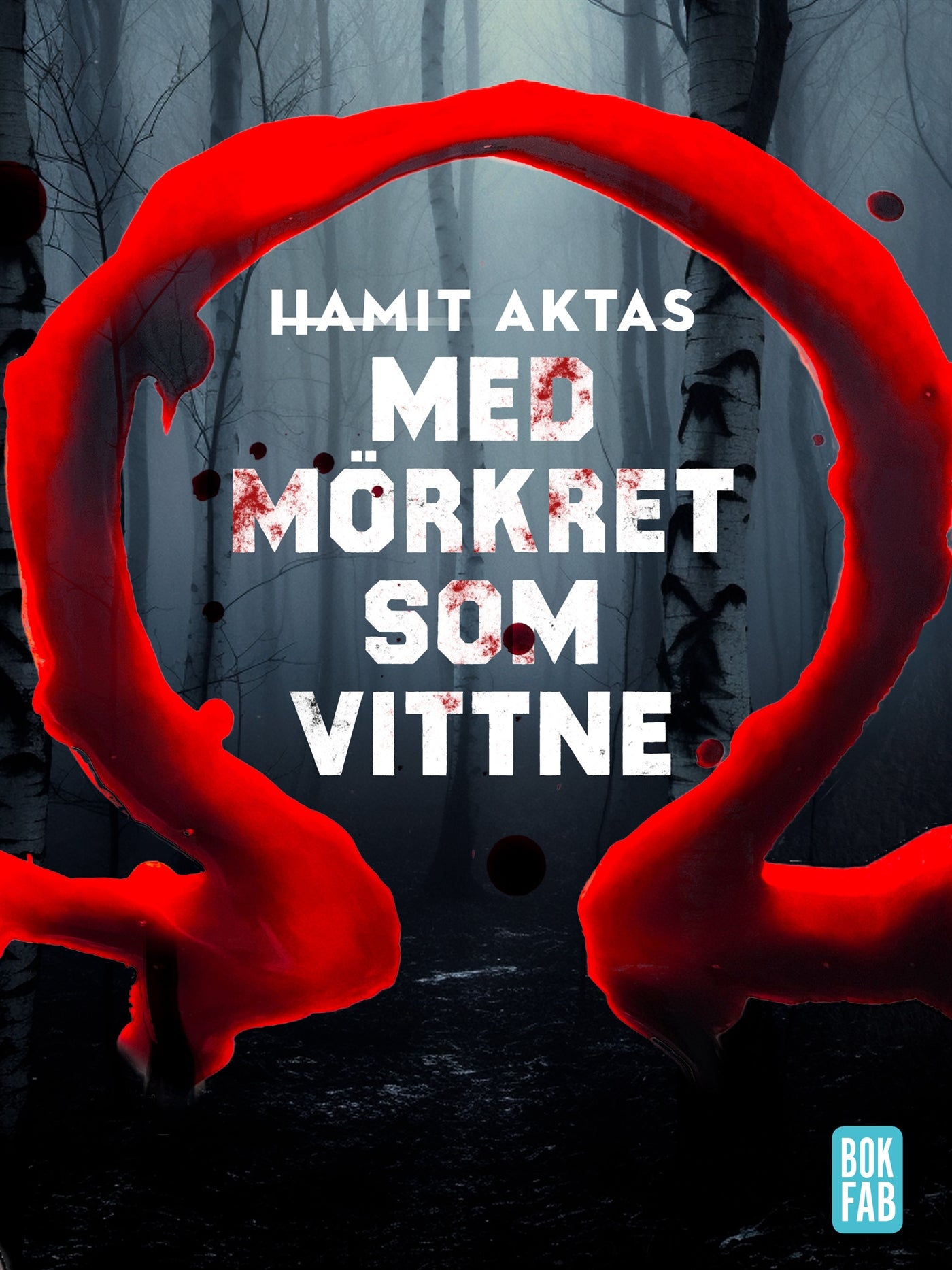 Med mörkret som vittne – E-bok