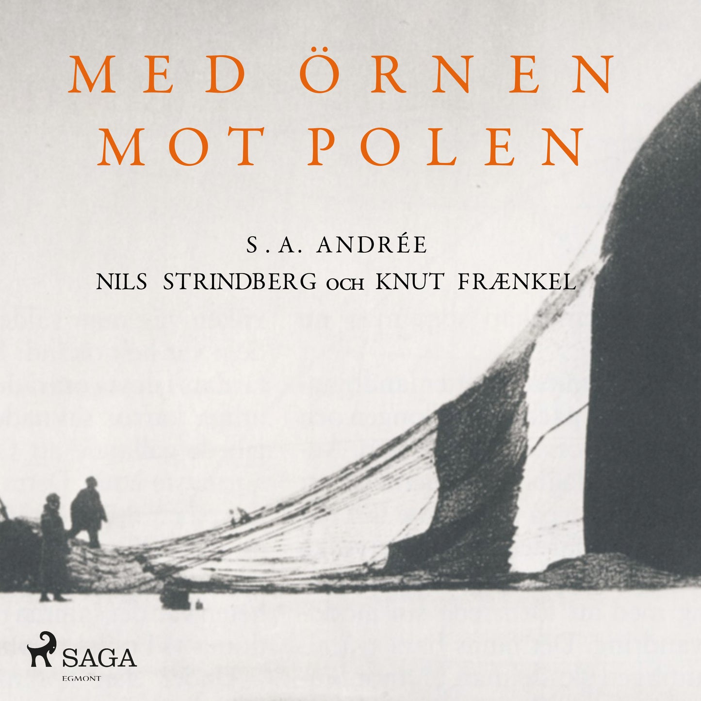 Med örnen mot polen – Ljudbok