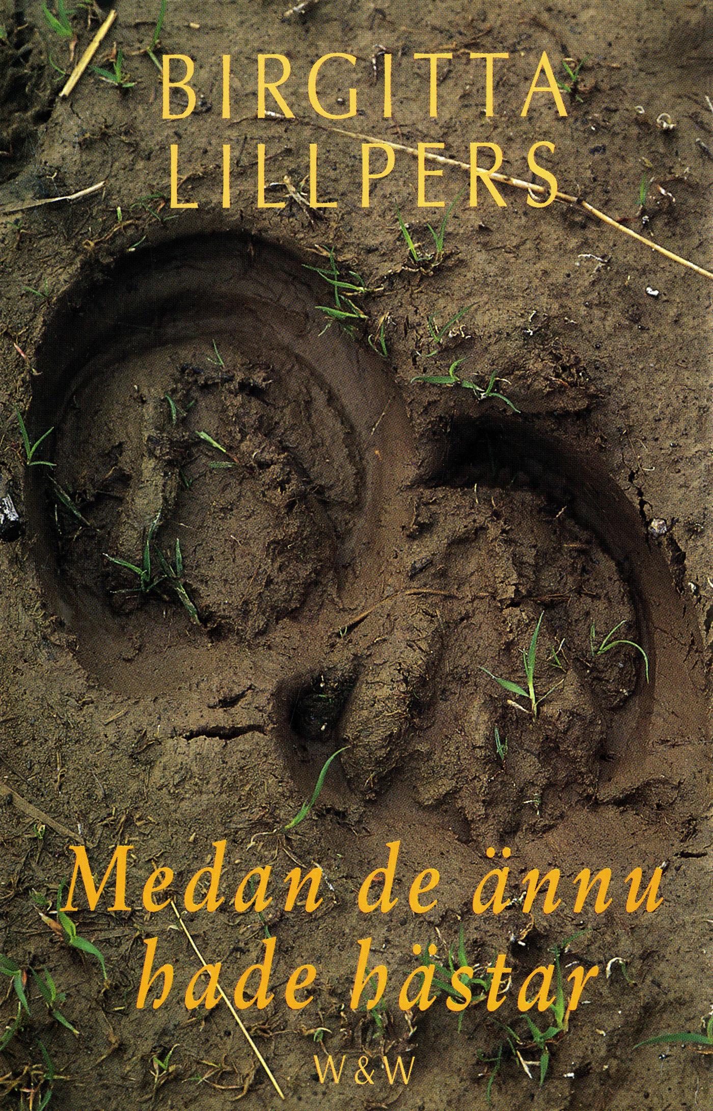 Medan de ännu hade hästar – E-bok