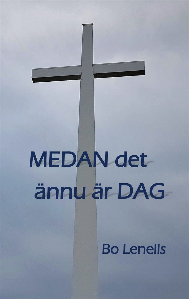 Medan det ännu är dag – E-bok
