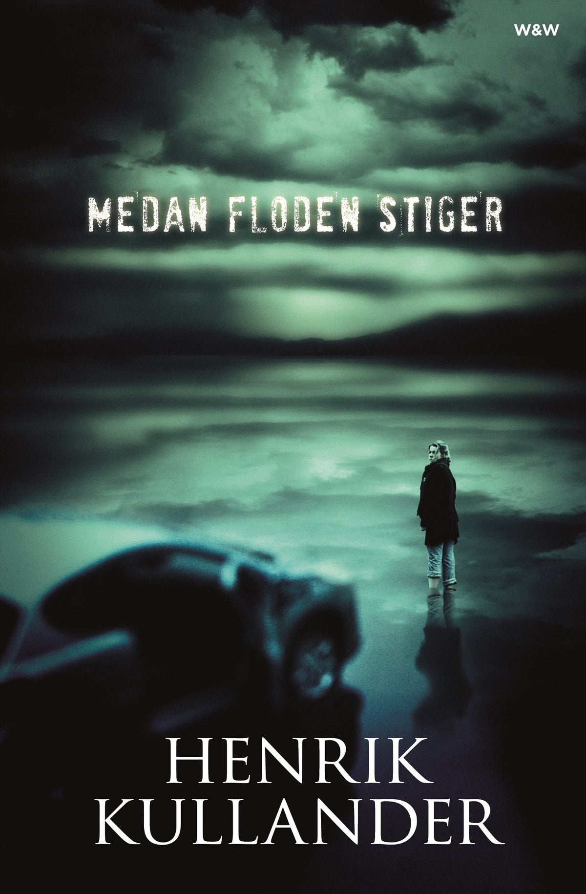 Medan floden stiger – E-bok