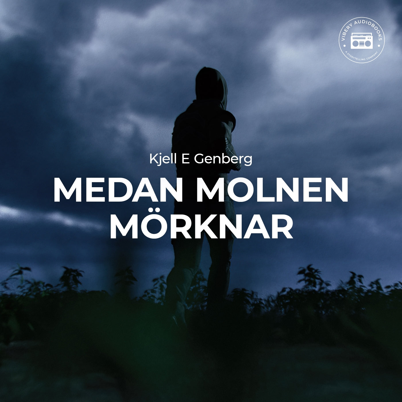 Medan molnen mörknar – Ljudbok