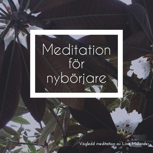 Meditation för nybörjare – Ljudbok