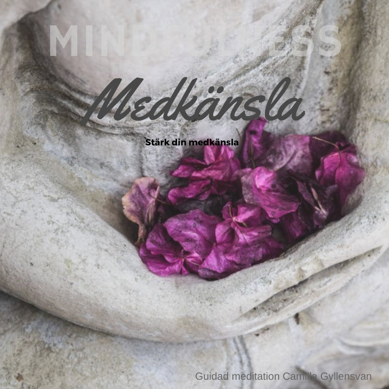 Medkänsla – Ljudbok