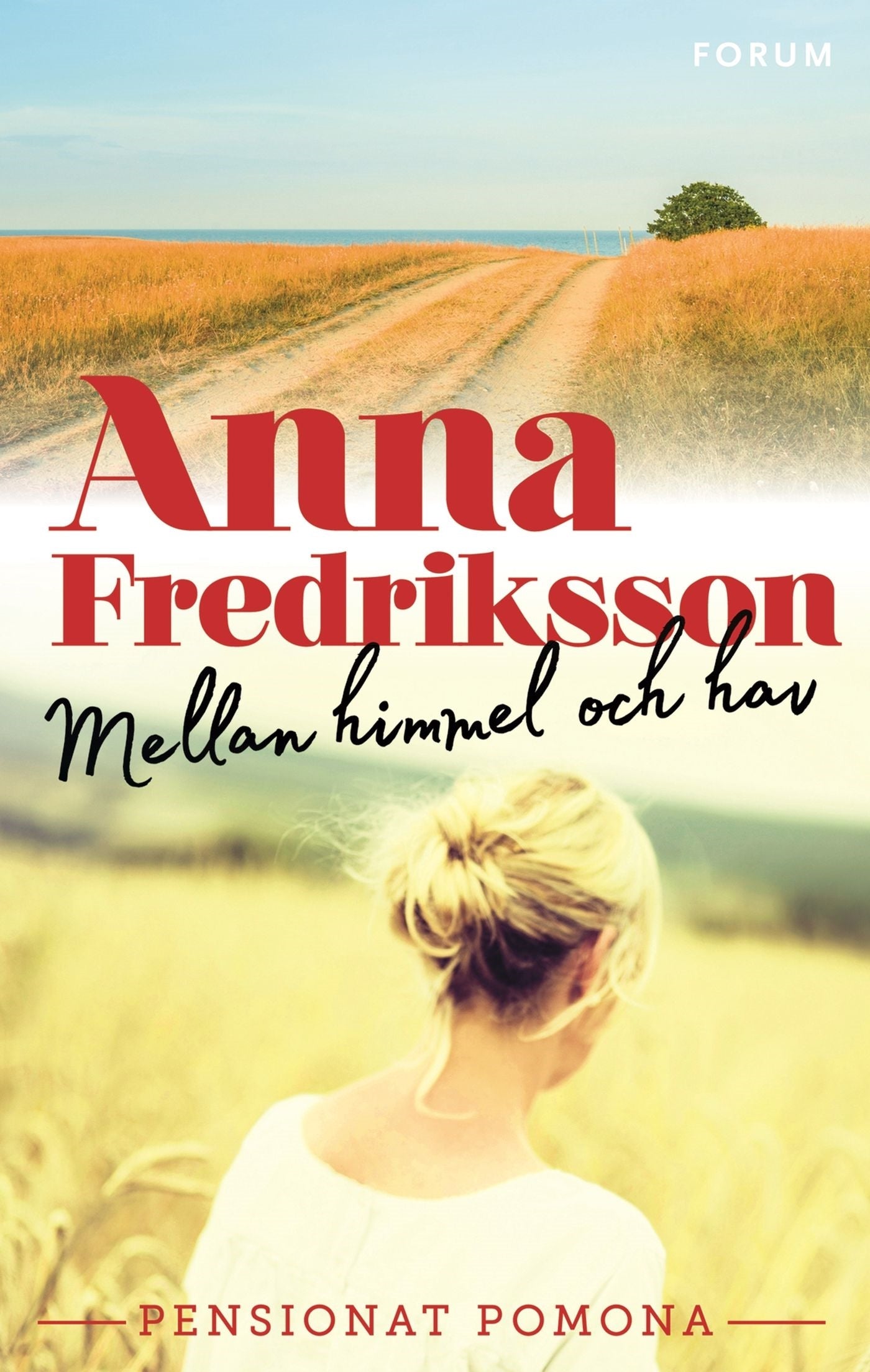 Mellan himmel och hav – E-bok