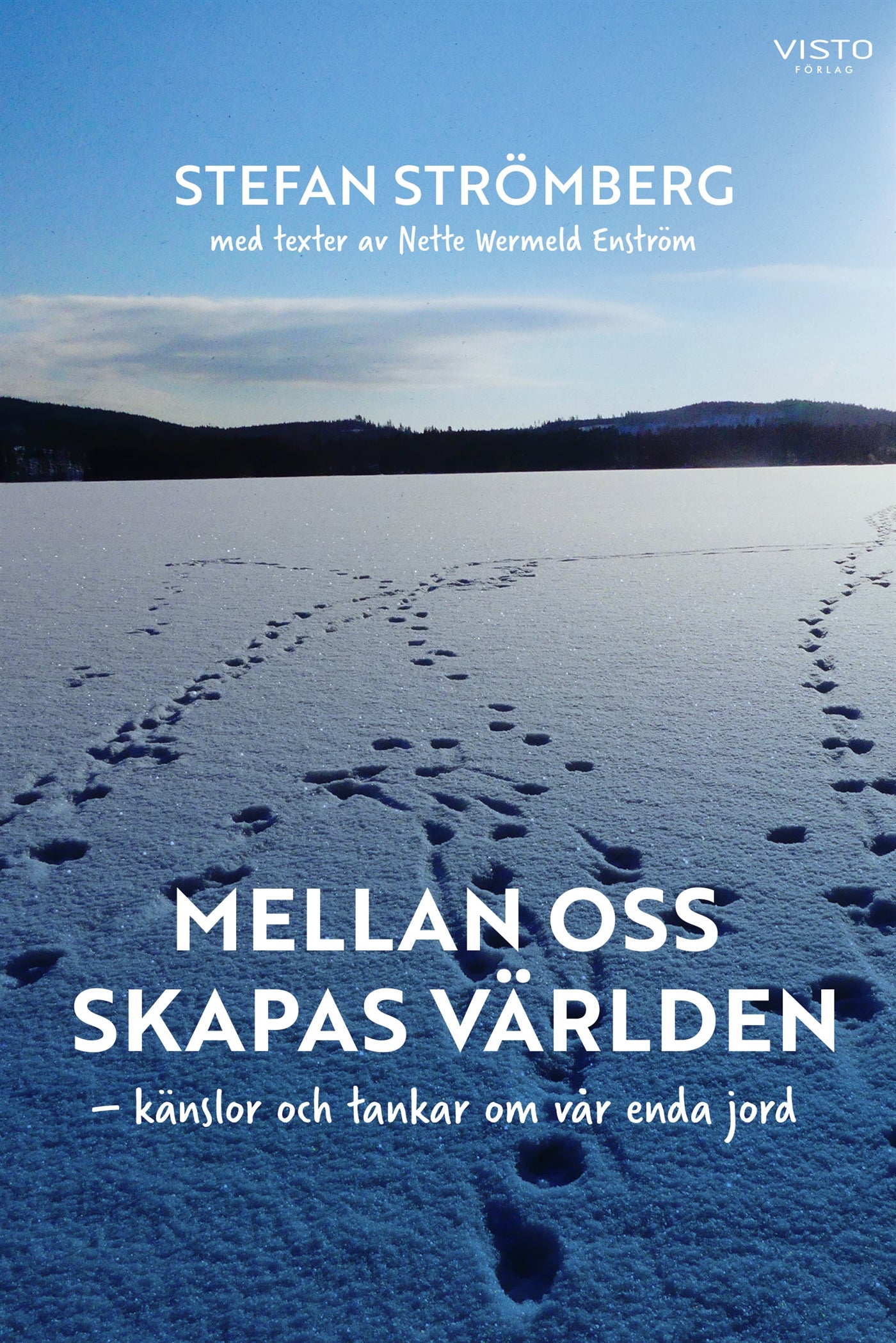 Mellan oss skapas världen : känslor och tankar om vår enda jord – E-bok