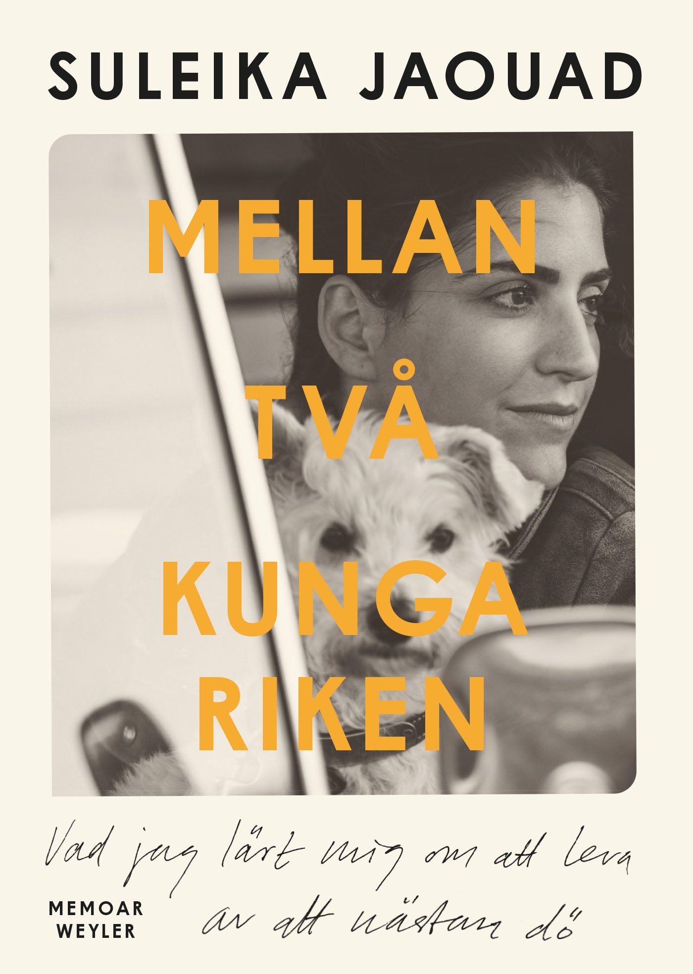 Mellan två kungariken : vad jag lärde mig om att leva av att nästan dö – E-bok