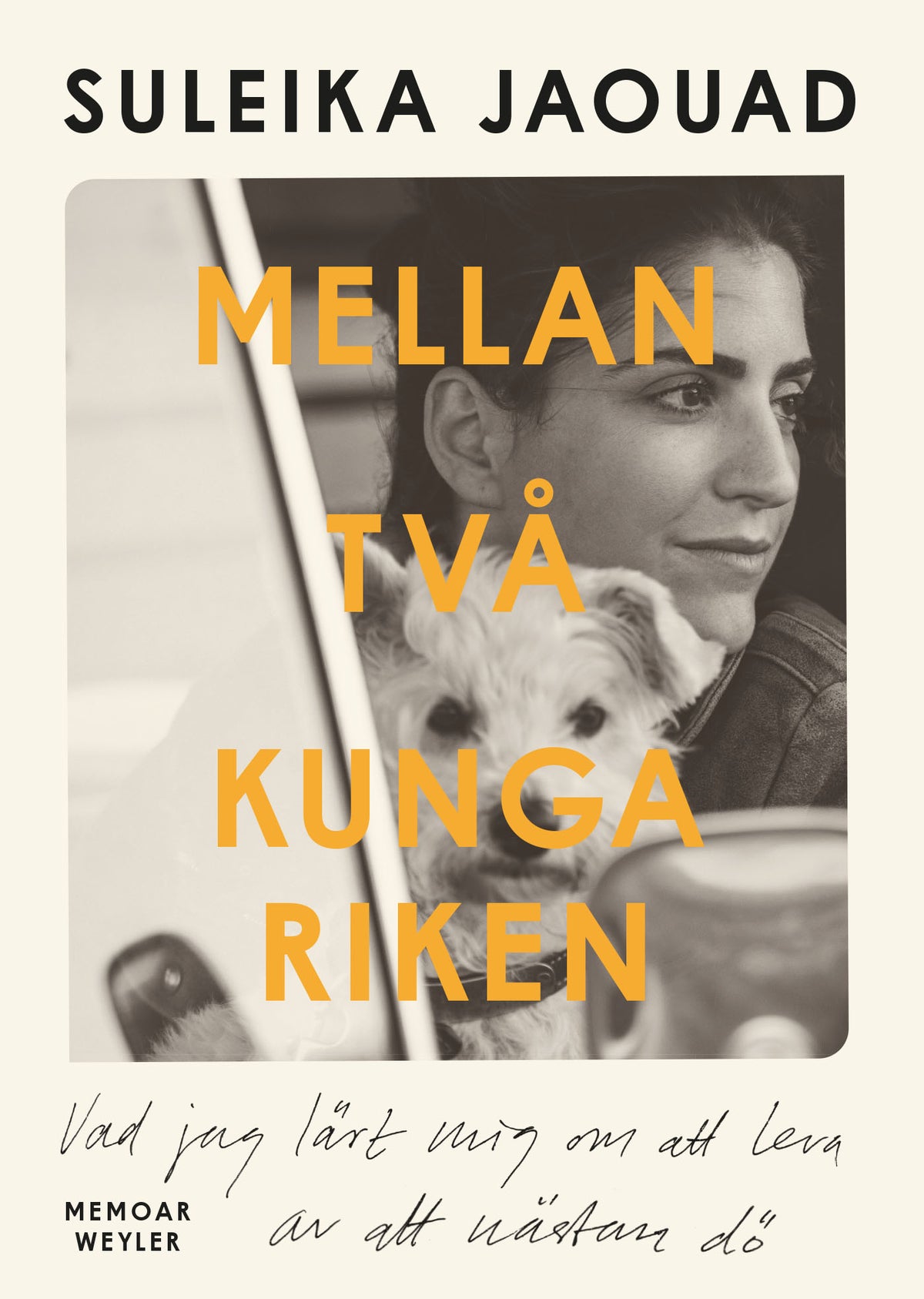 Mellan två kungariken : vad jag lärde mig om att leva av att nästan dö – E-bok