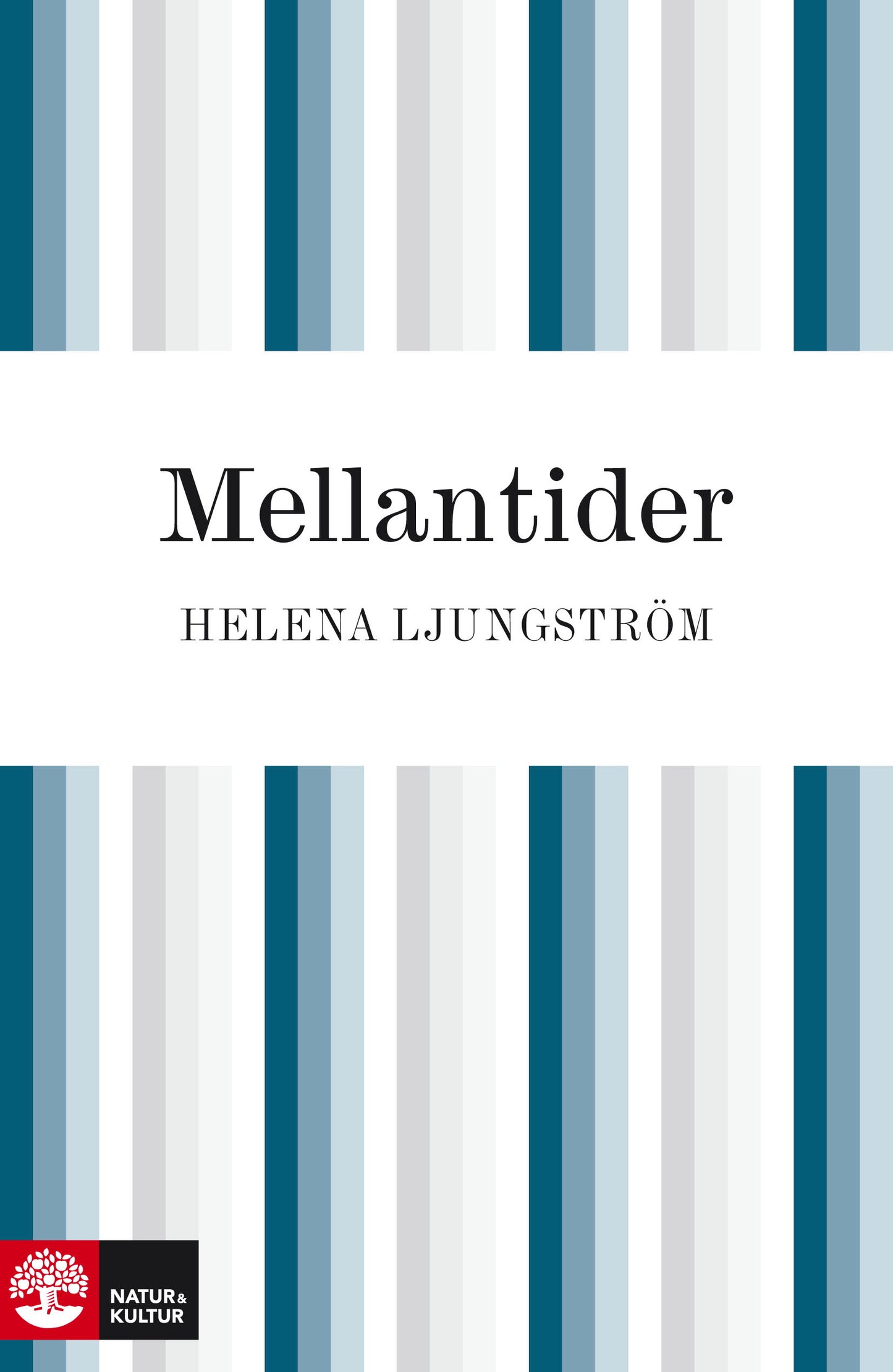Mellantider – E-bok