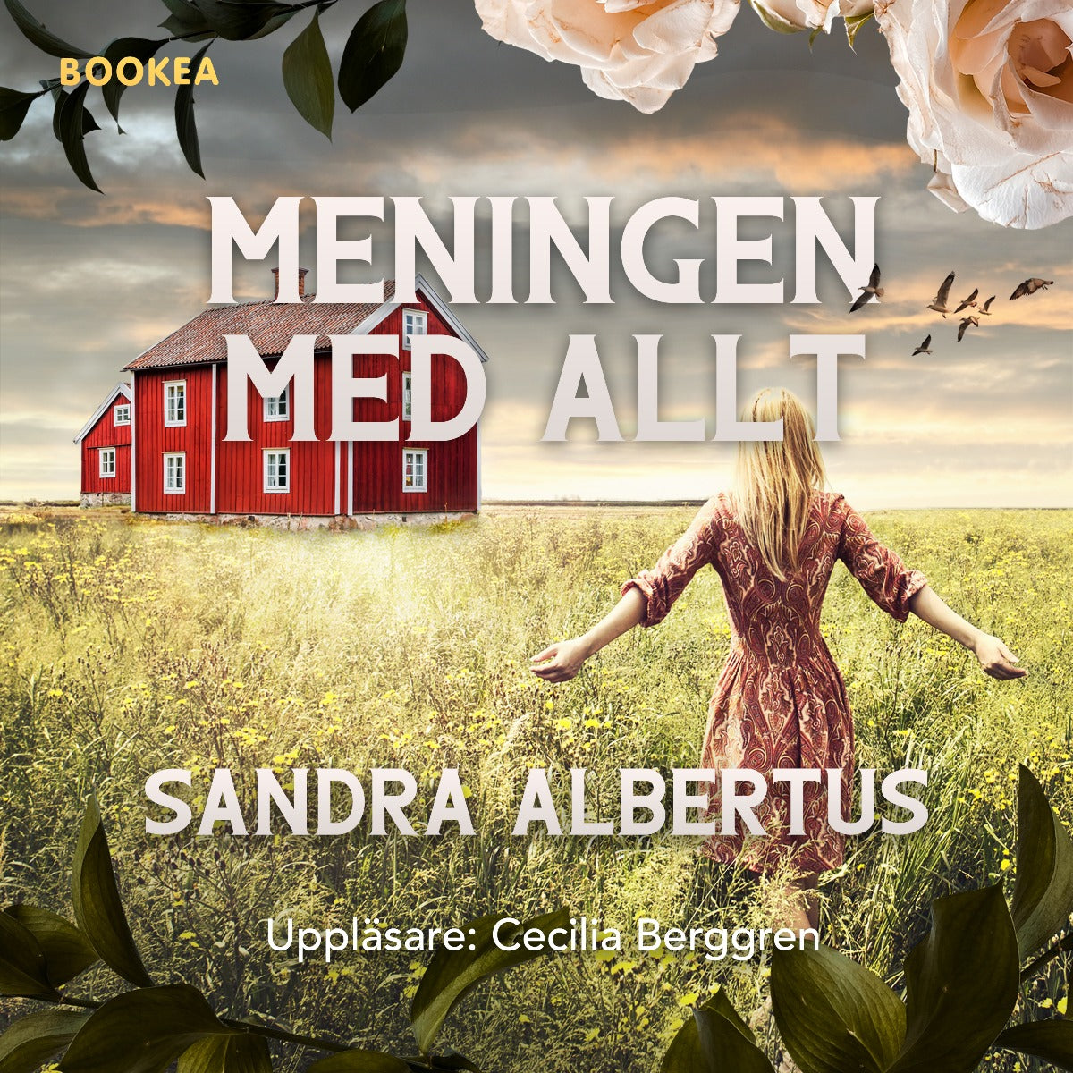 Meningen med allt – Ljudbok