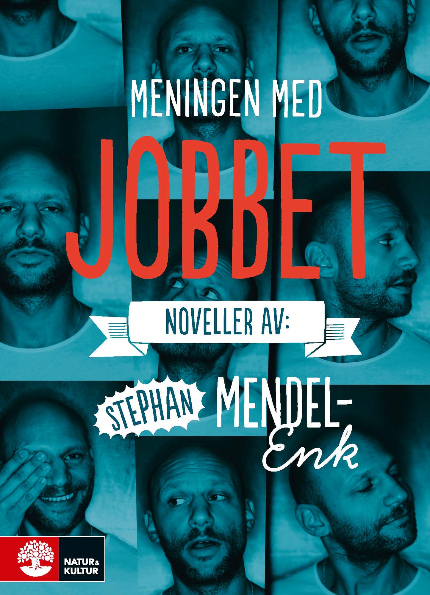 Meningen med jobbet : noveller – E-bok