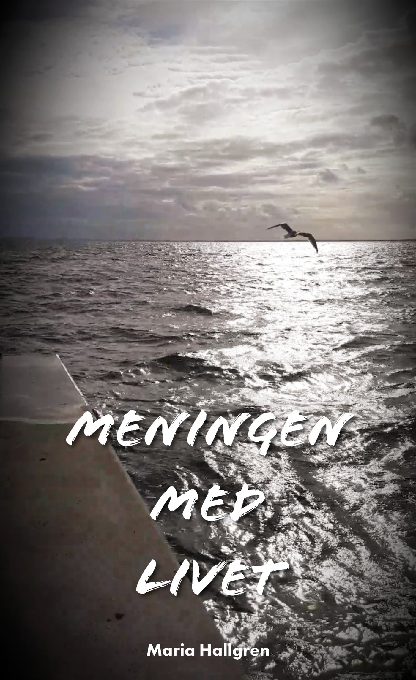 Meningen med livet – E-bok