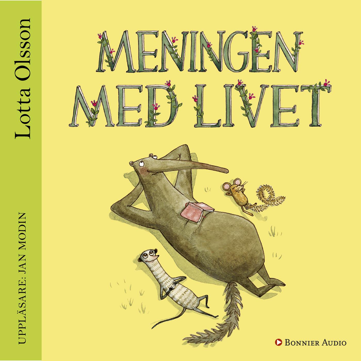 Meningen med livet – Ljudbok