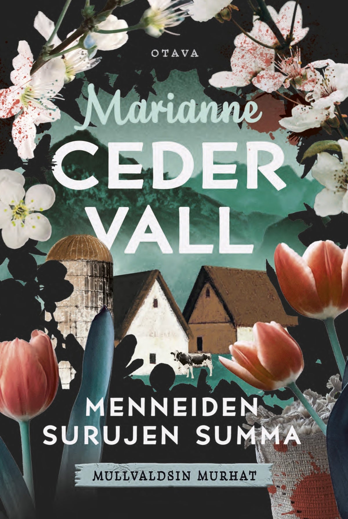 Menneiden surujen summa – E-bok