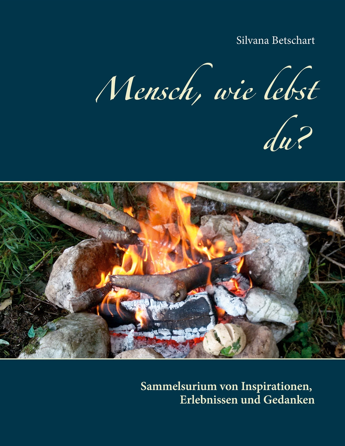 Mensch, wie lebst du?: Sammelsurium von Inspirationen, Erlebnissen und Gedanken – E-bok