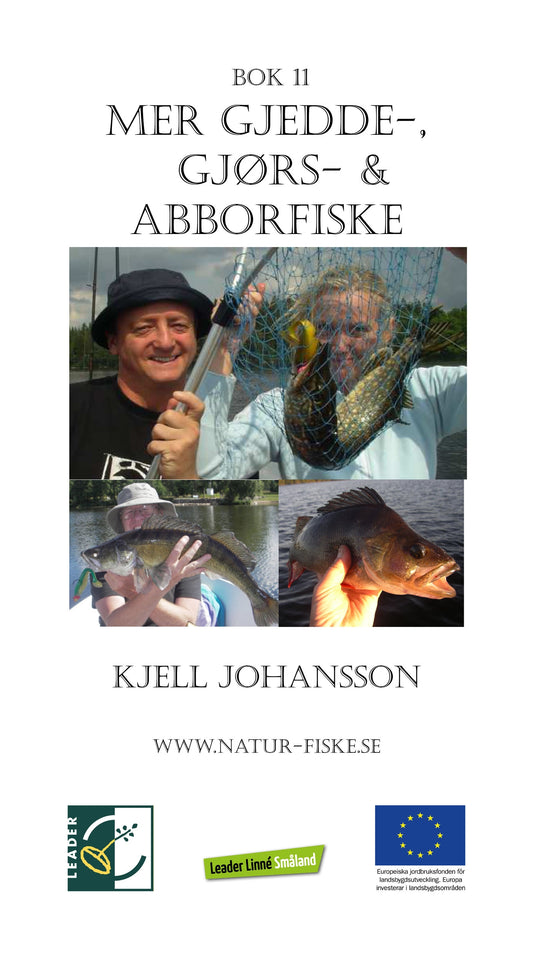 Mer gjedde-, gjørs- og abborfiske – E-bok