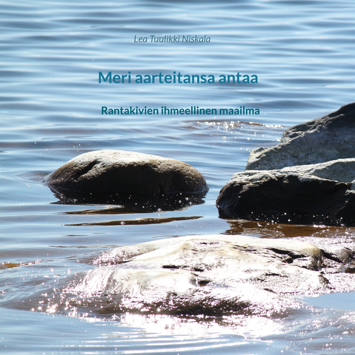 Meri aarteitansa antaa: Rantakivien ihmeellinen maailma – E-bok