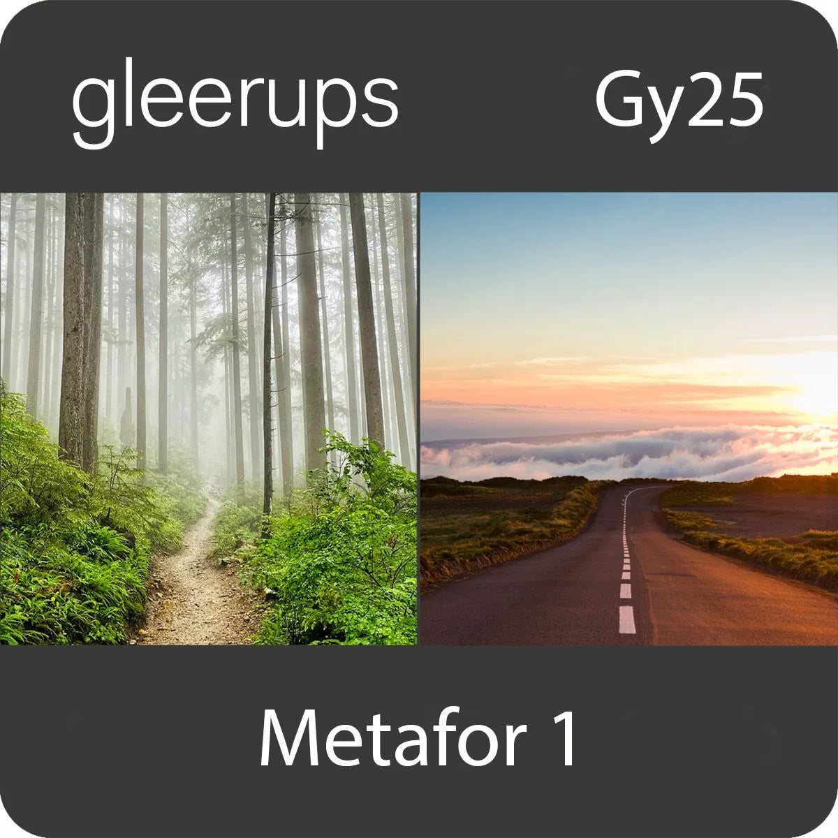Metafor svenska 1, digitalt läromedel, lärare, 12 mån, Gy25 (OBS! Endast för lärare)
