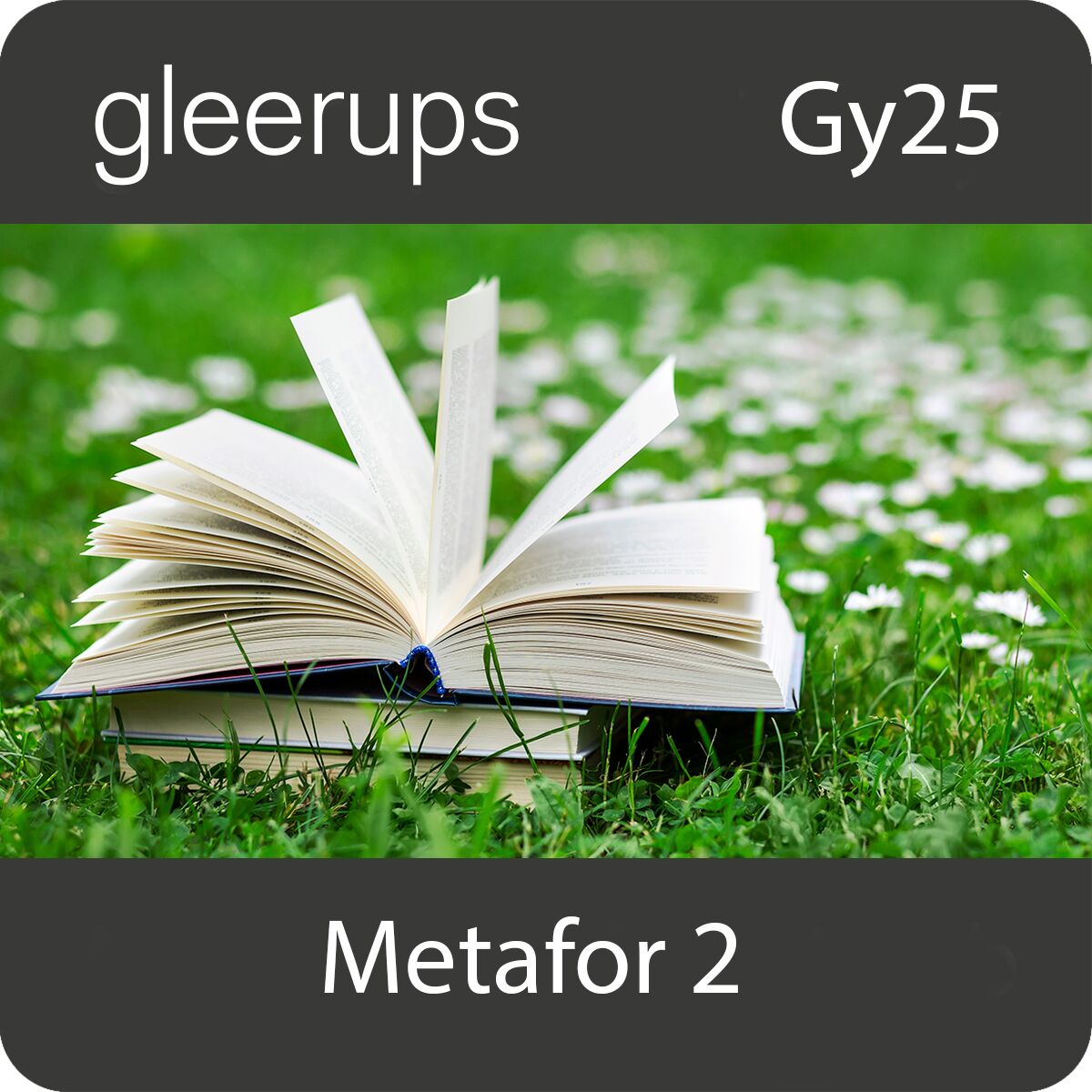 Metafor svenska 2, digitalt läromedel, elev, 12 mån, Gy25