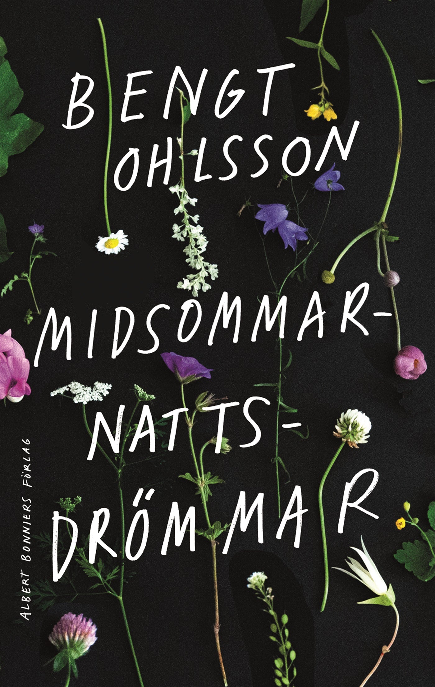 Midsommarnattsdrömmar – E-bok