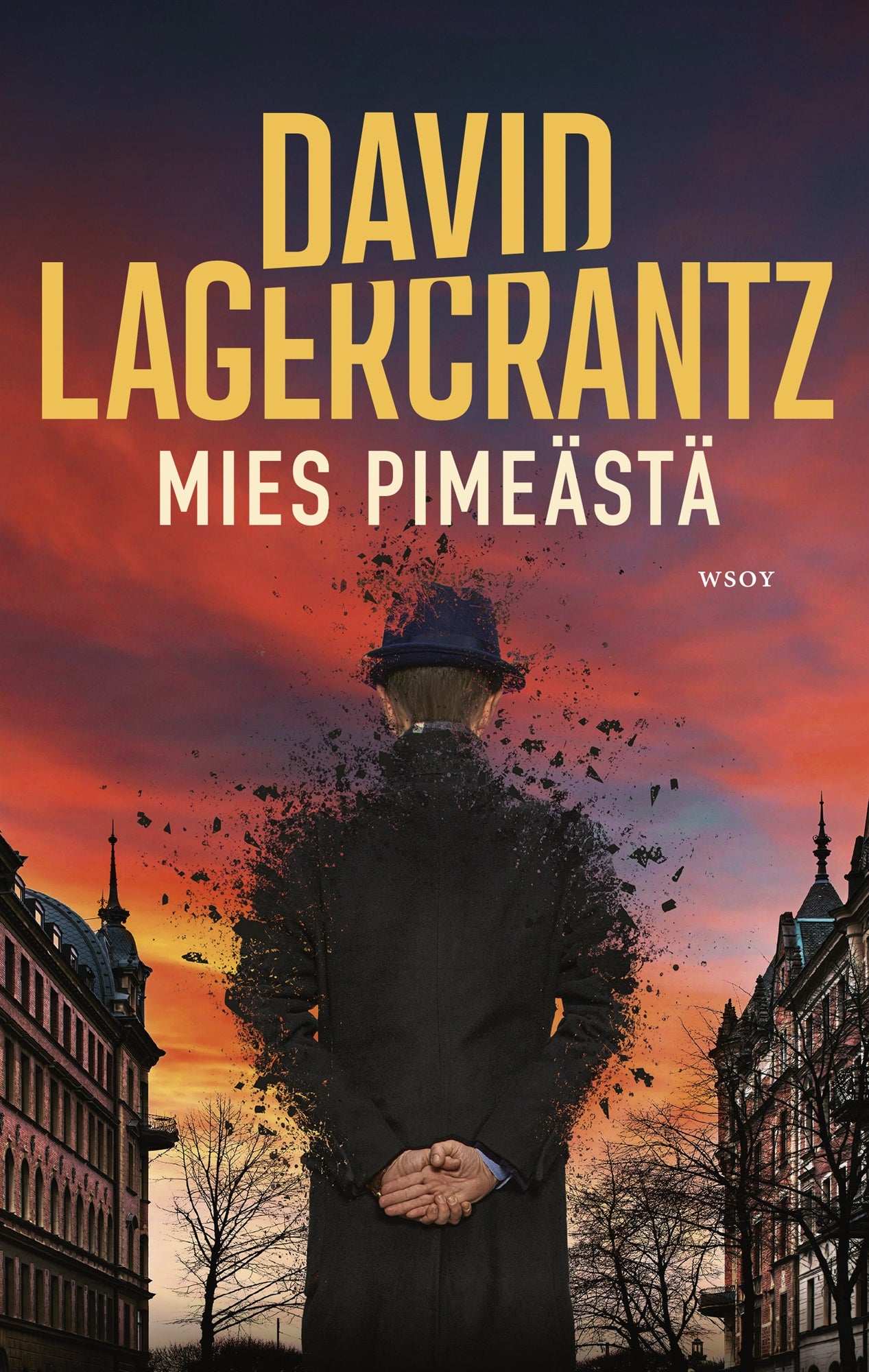 Mies pimeästä – E-bok