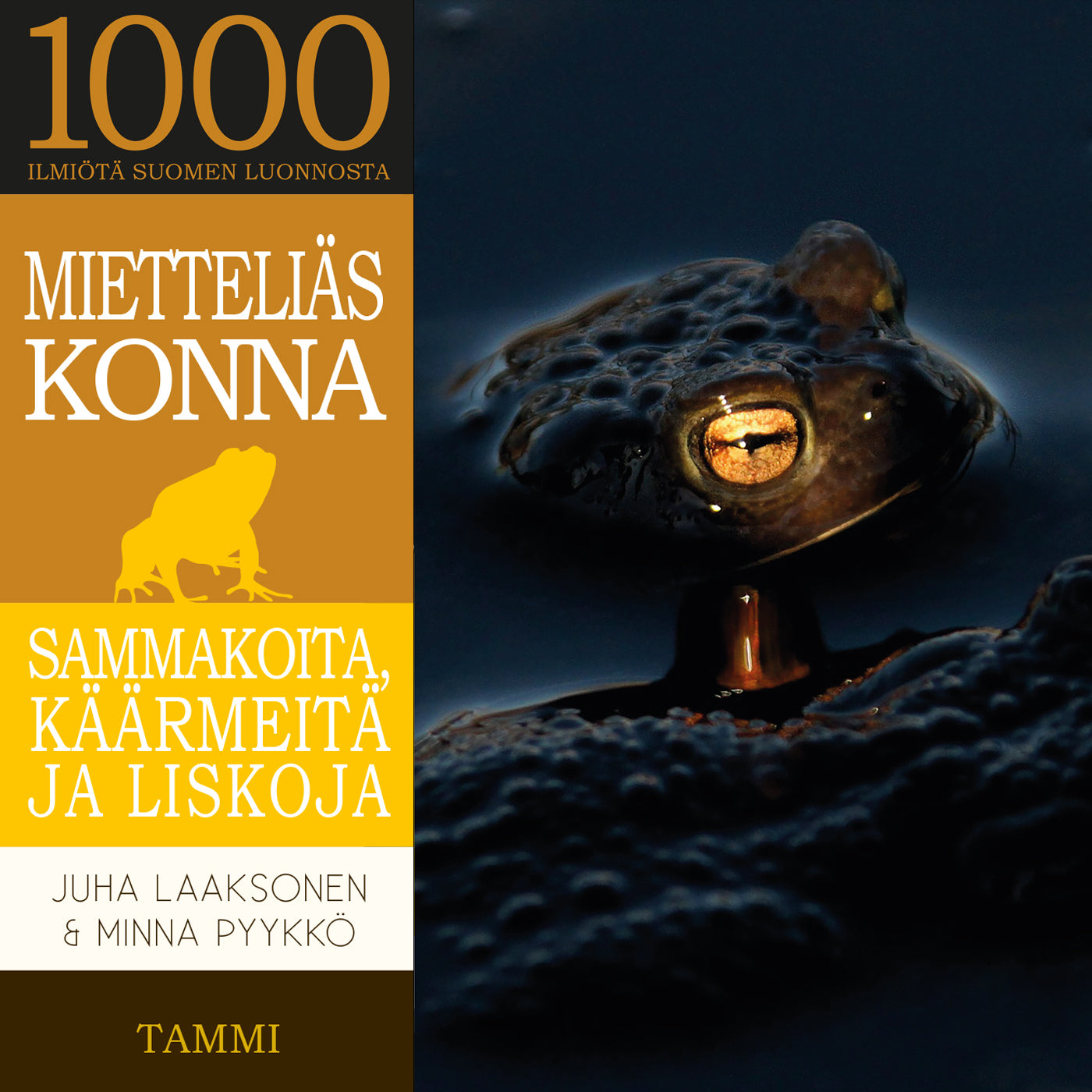 Mietteliäs konna – Ljudbok