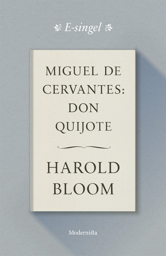 Miguel de Cervantes: Don Quijote – E-bok