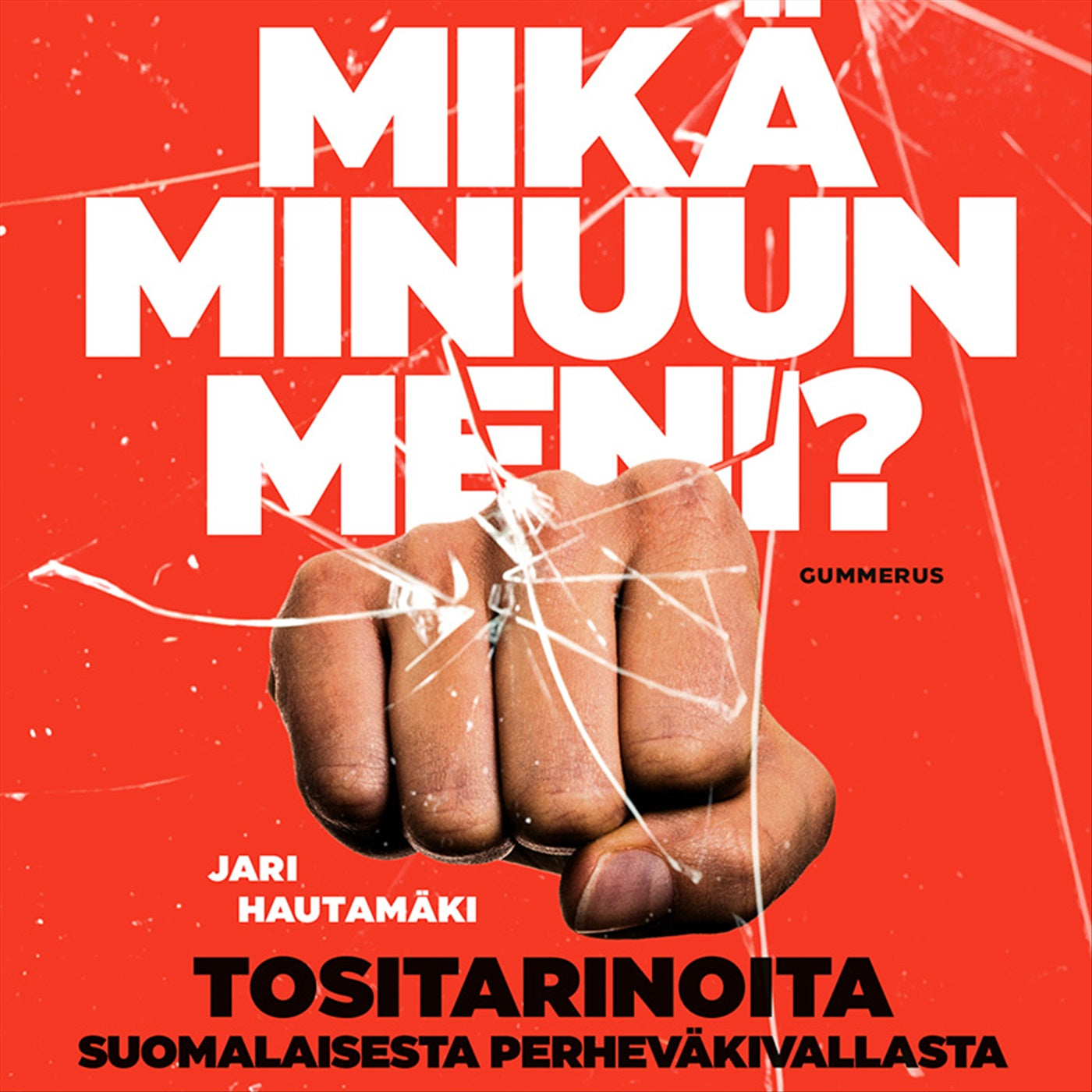 Mikä minuun meni? – Ljudbok