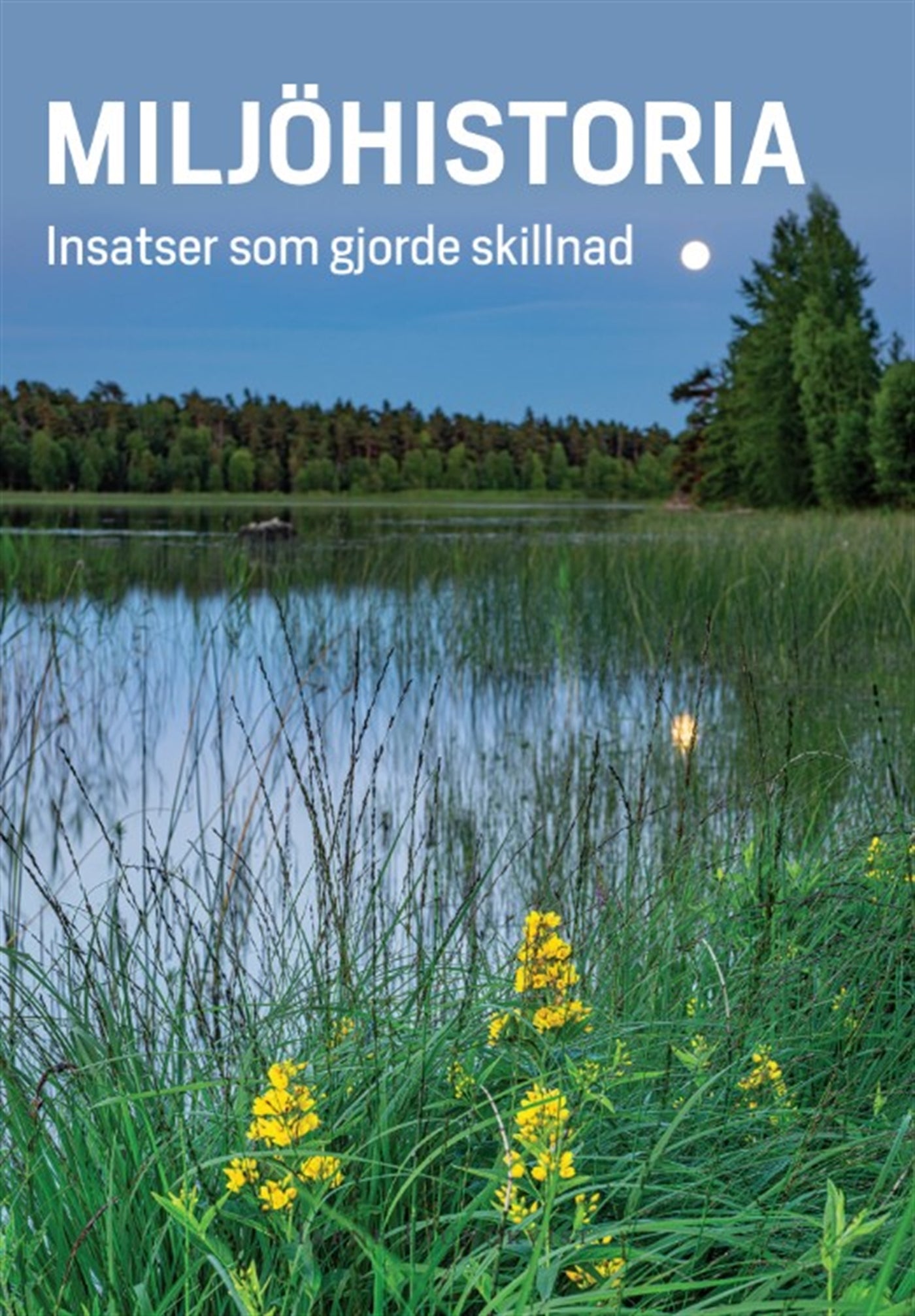 Miljöhistoria : insatser som gjorde skillnad – E-bok