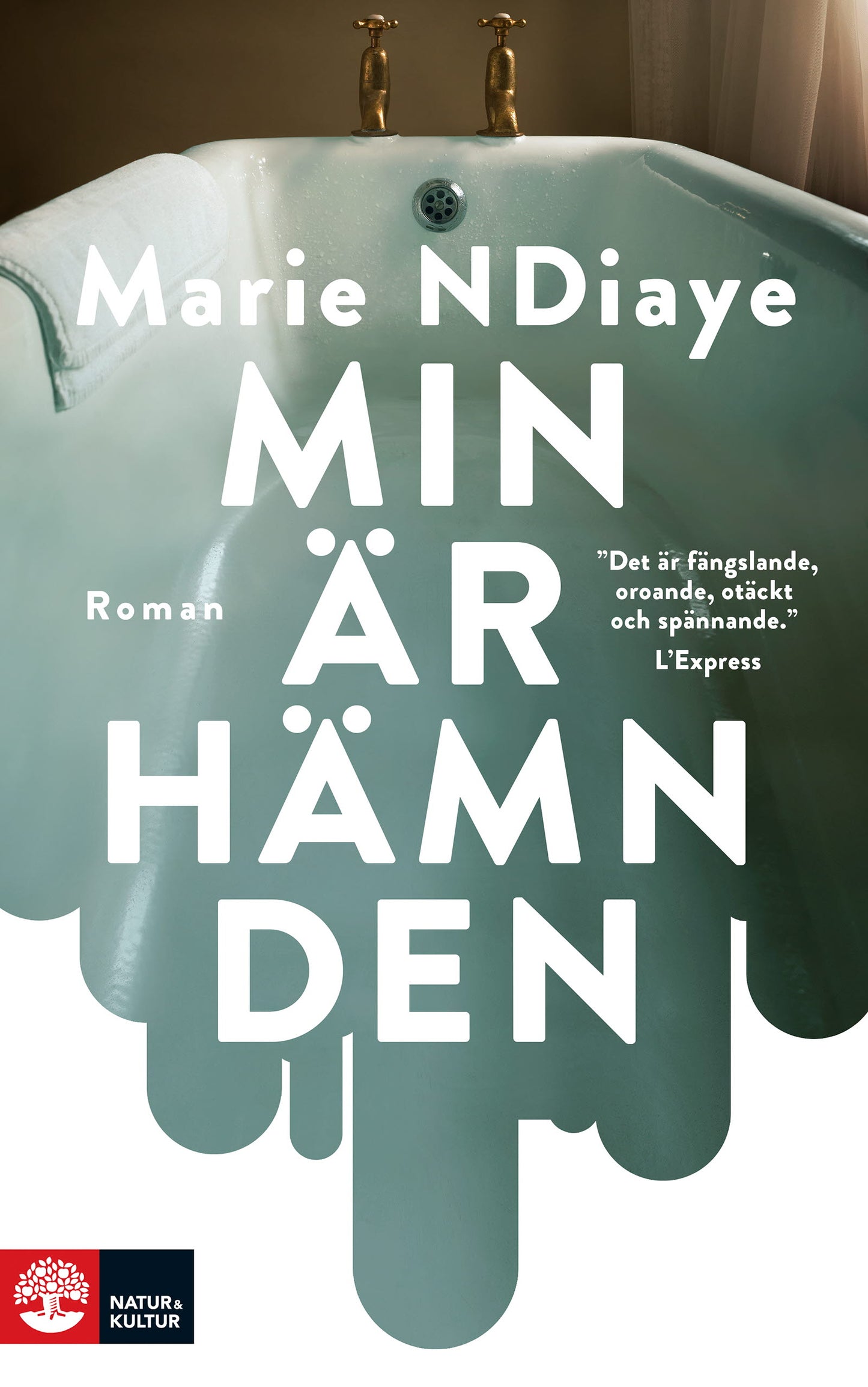 Min är hämnden – E-bok