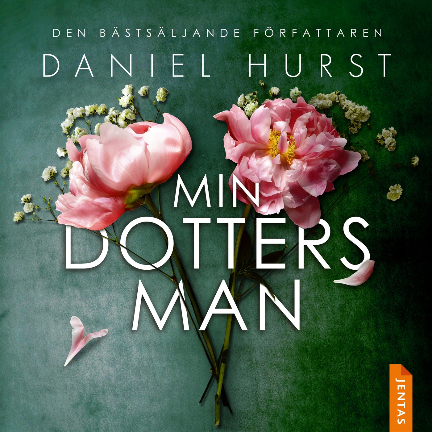 Min dotters man – Ljudbok