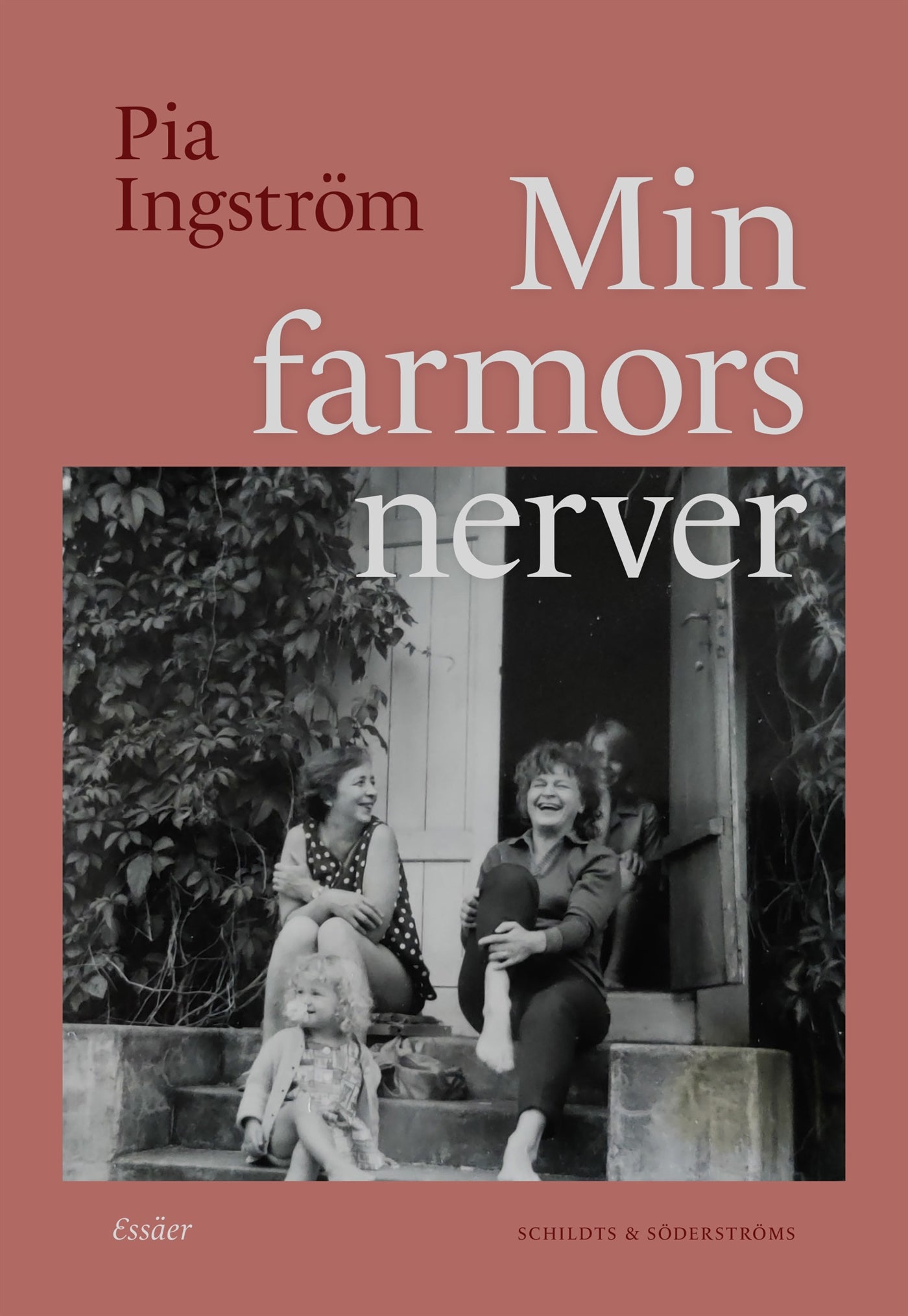 Min farmors nerver – E-bok
