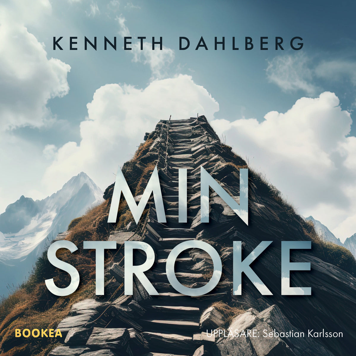 Min stroke – Ljudbok