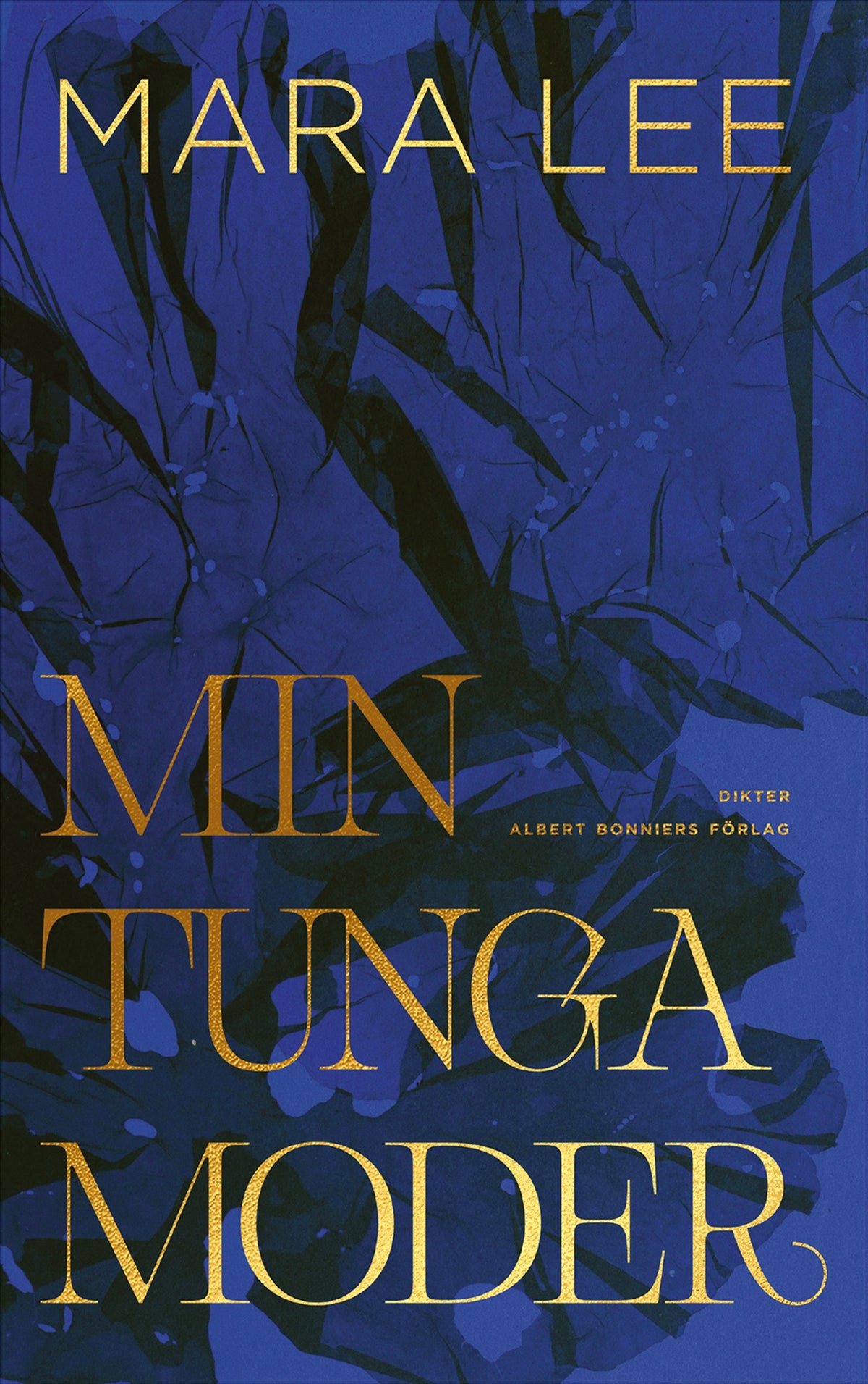 Min tunga moder – E-bok