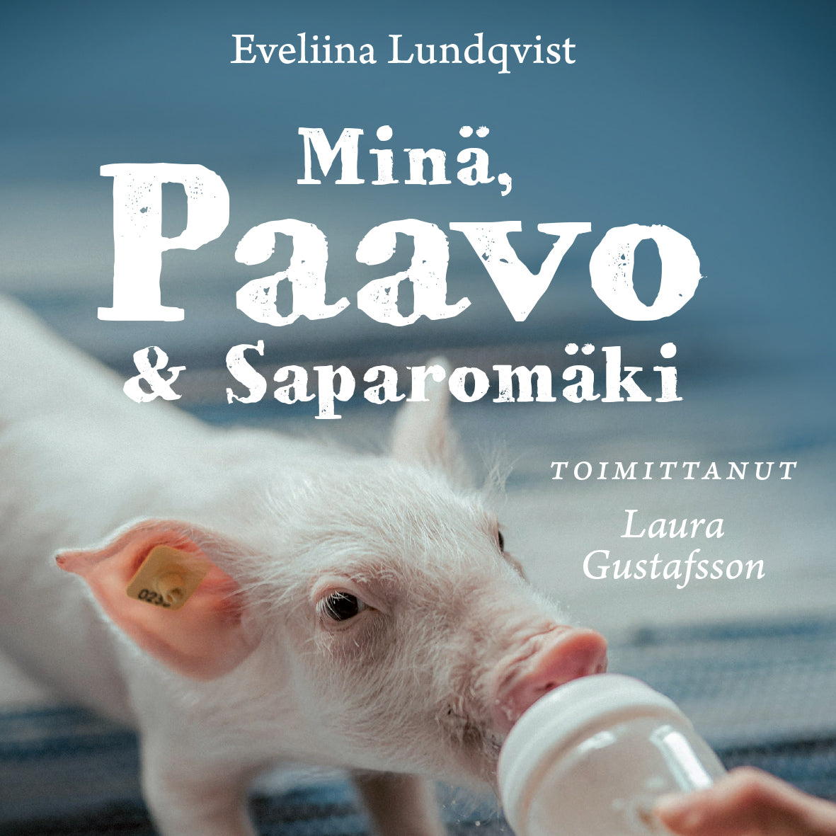 Minä, Paavo ja Saparomäki – Ljudbok