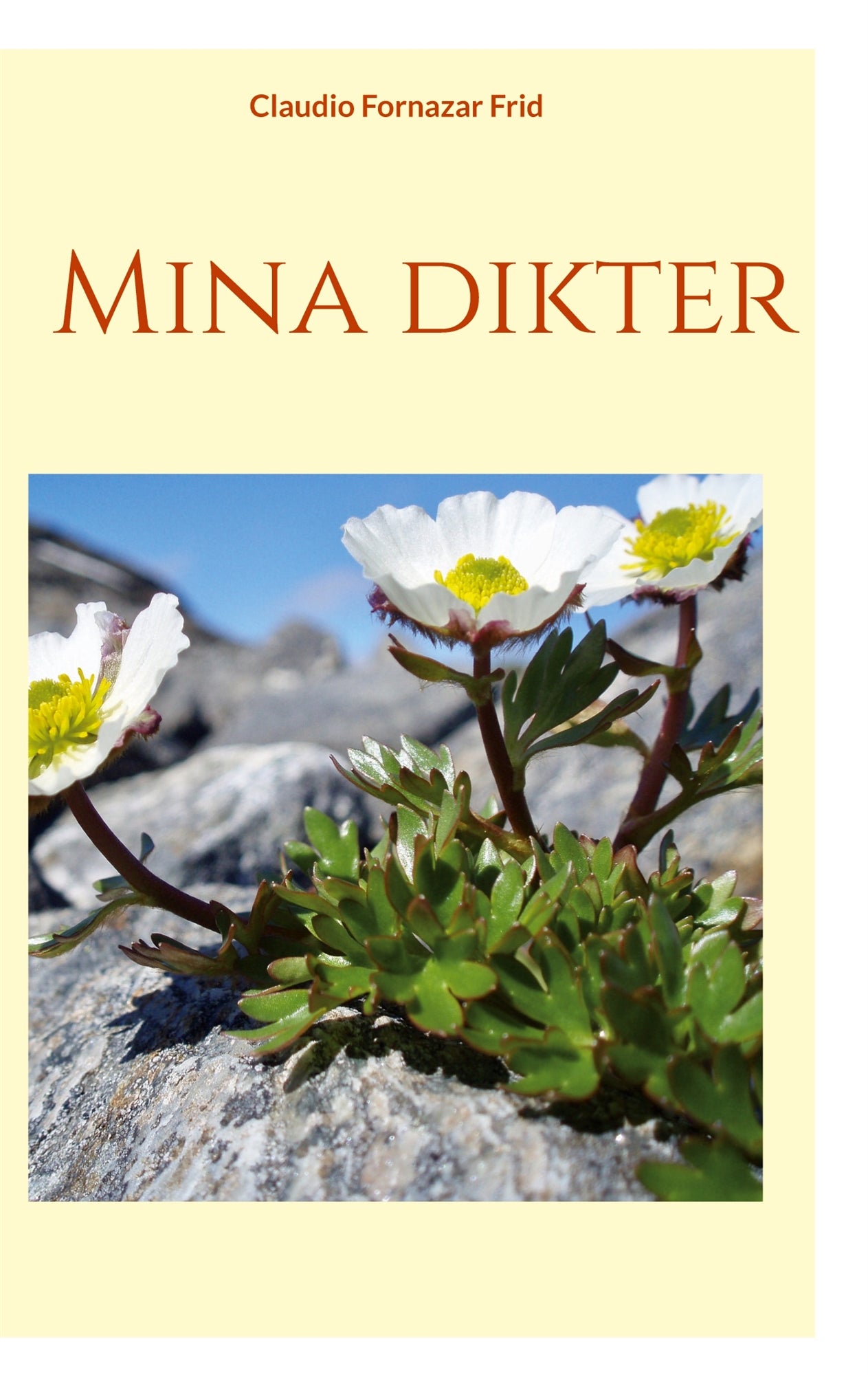 Mina dikter – E-bok